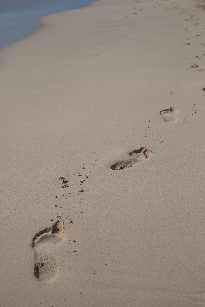 Fuerteventura Canary Islands 